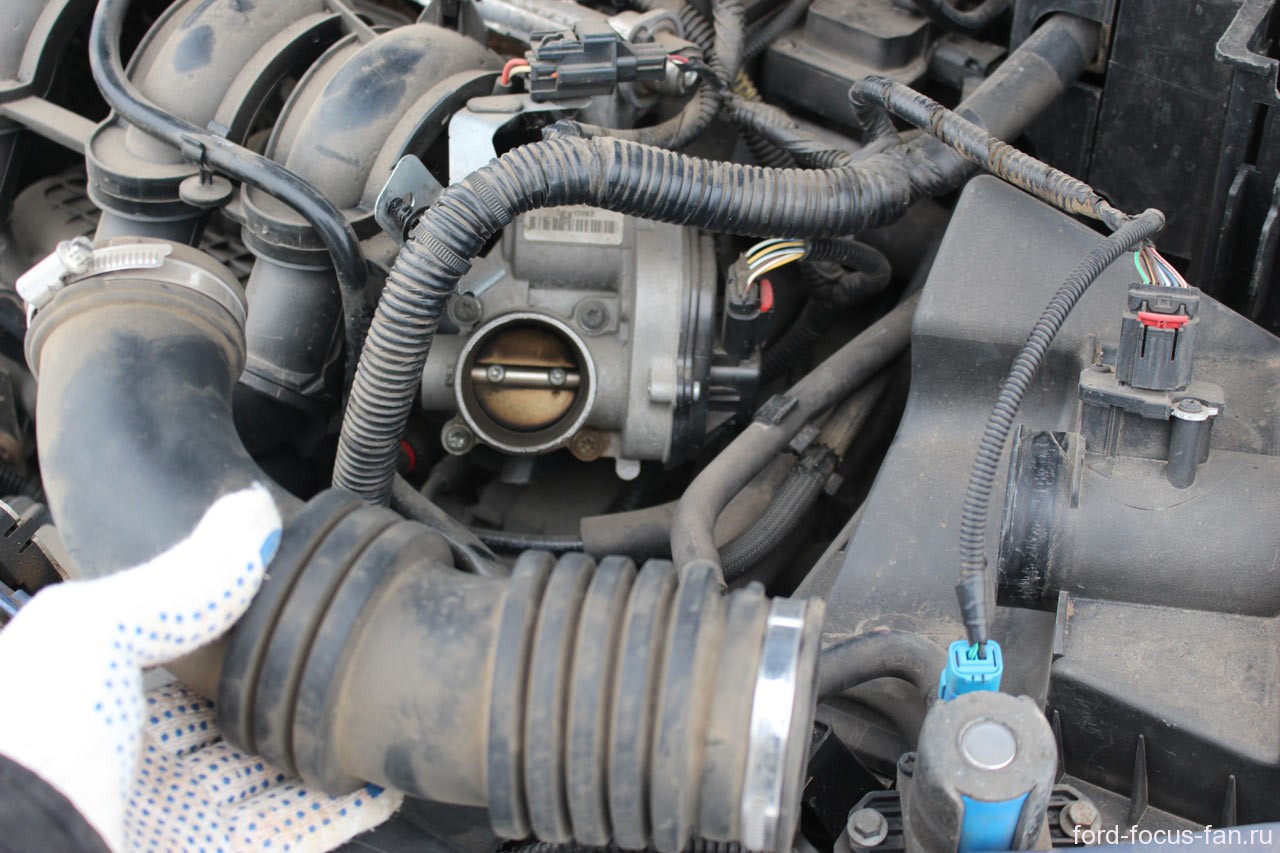 Двигатель Ford Focus 3 — FFClub
